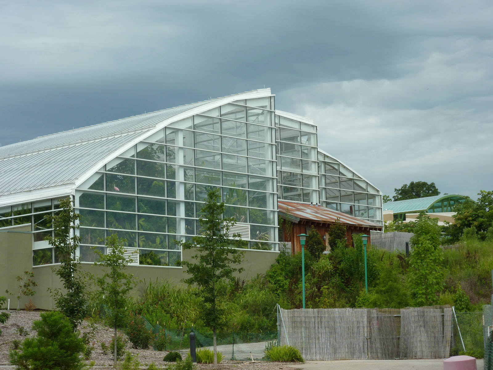 Amazonia: Forest Of Riches