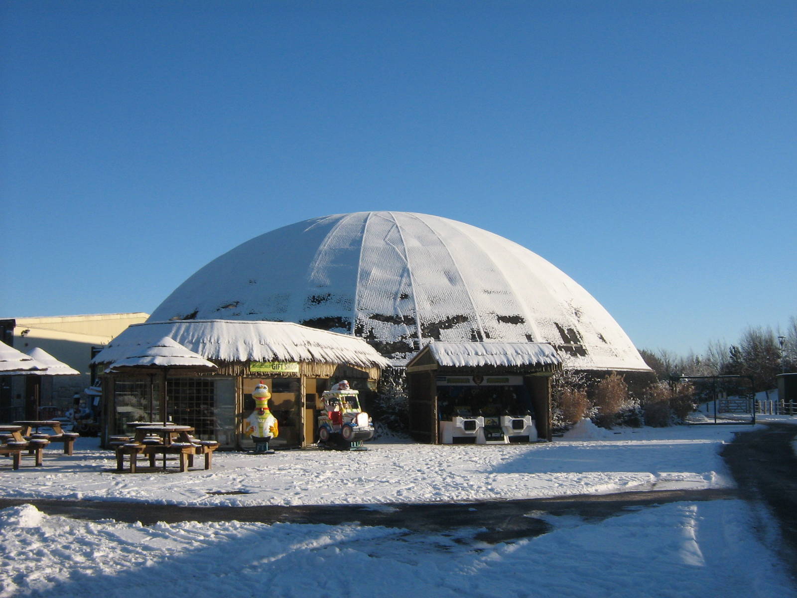 Amazonia in the Snow.
