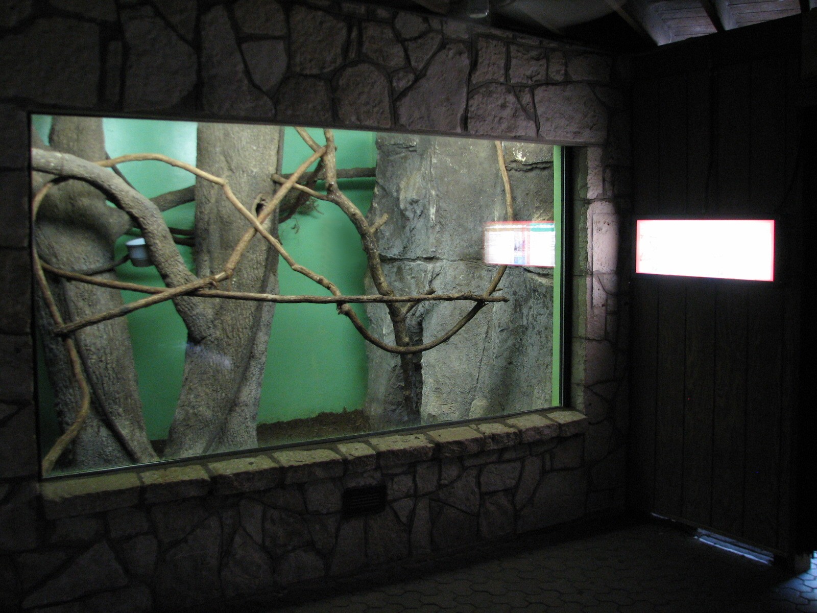 Amazonia - Linnes Two-toed Sloth and Nine-banded Armadillo Exhibit