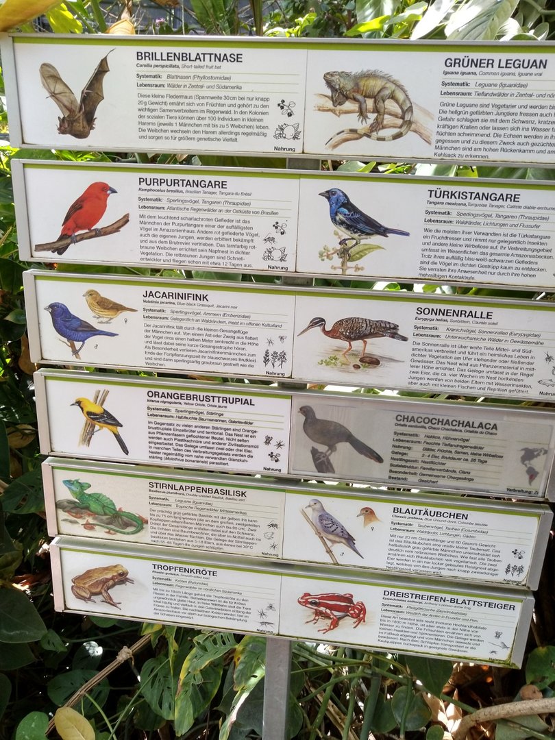 Amazonia - Sign free roaming species 2022