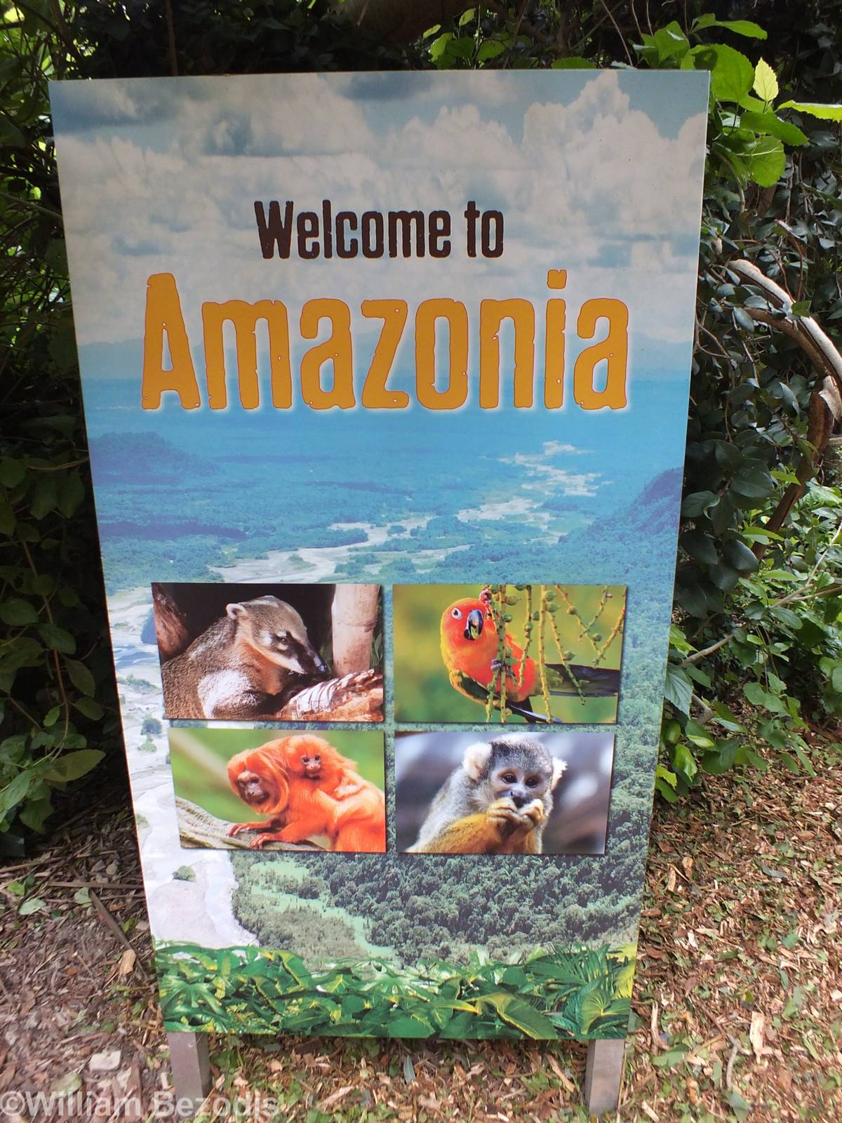 Amazonia Sign