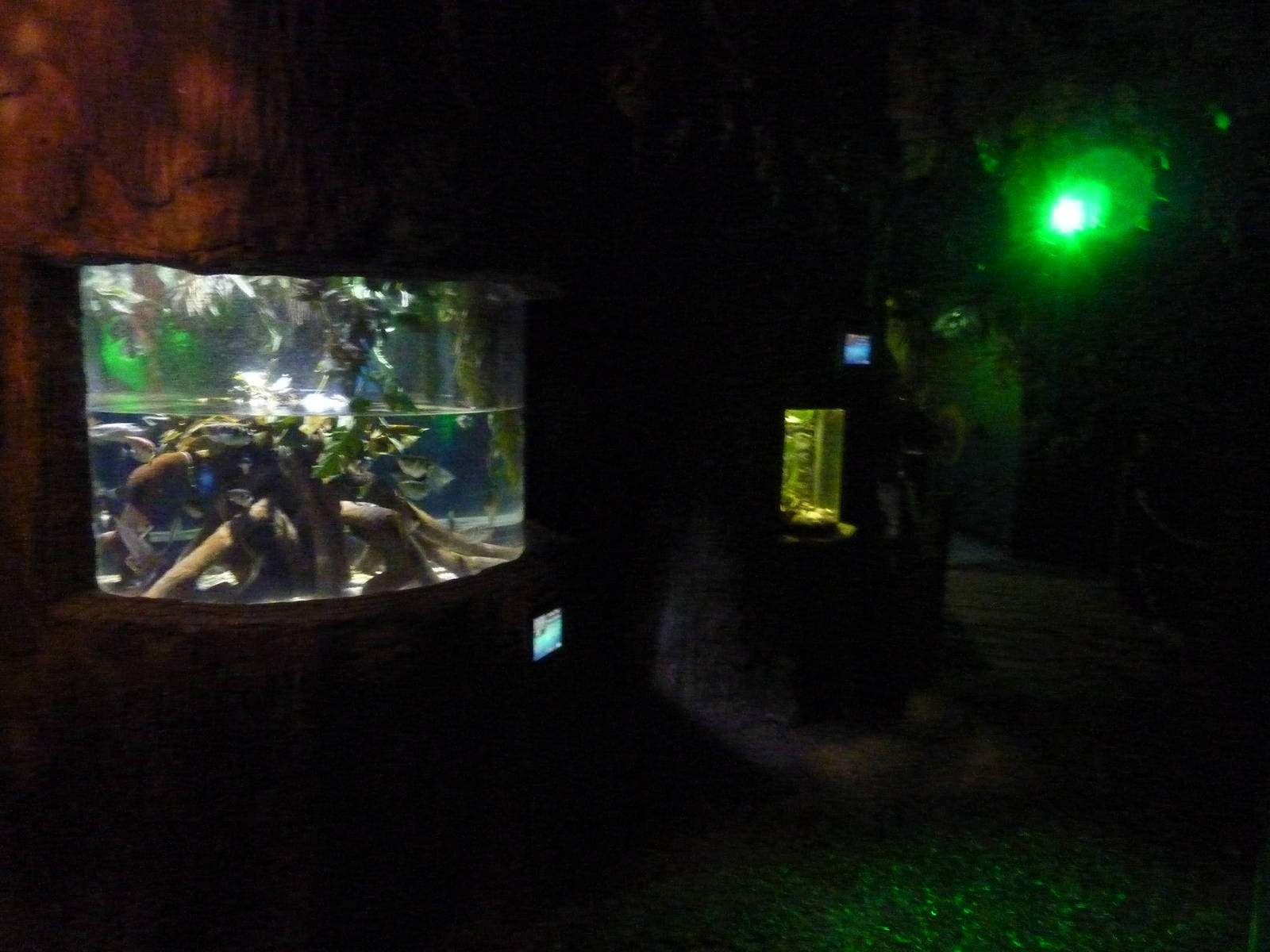 Amazonia tanks
