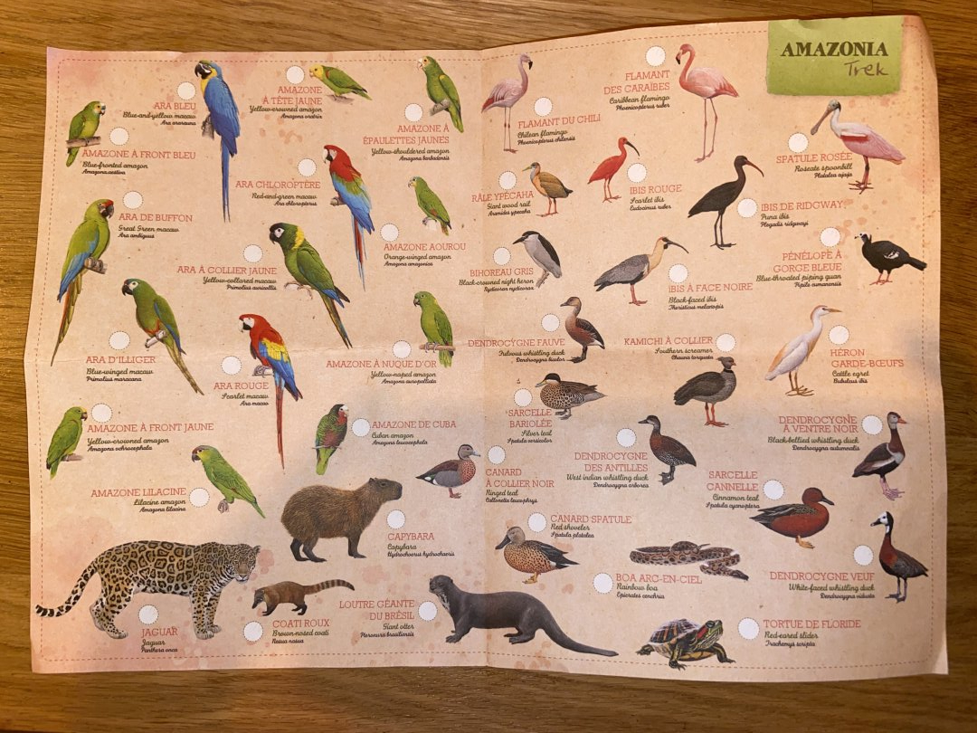 Amazonia Trek Species List - 2025-03