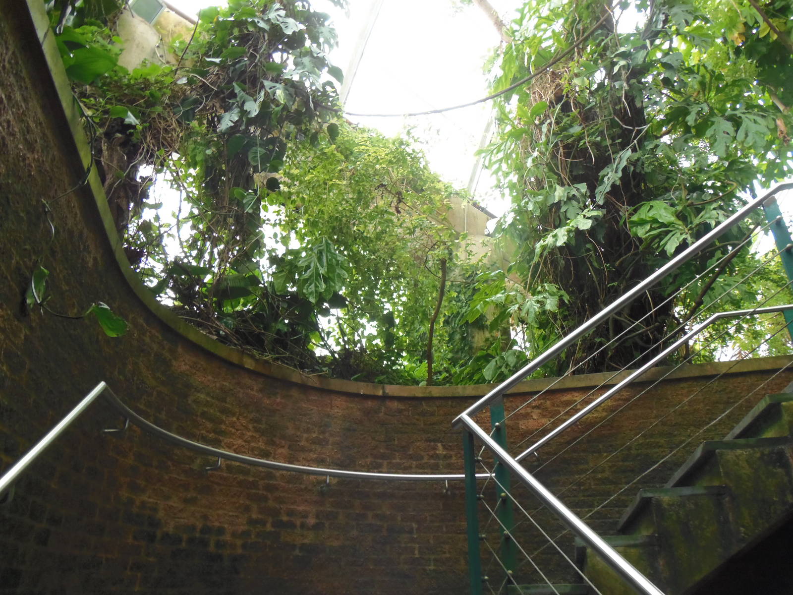 Amazonia- Up to the Second Level