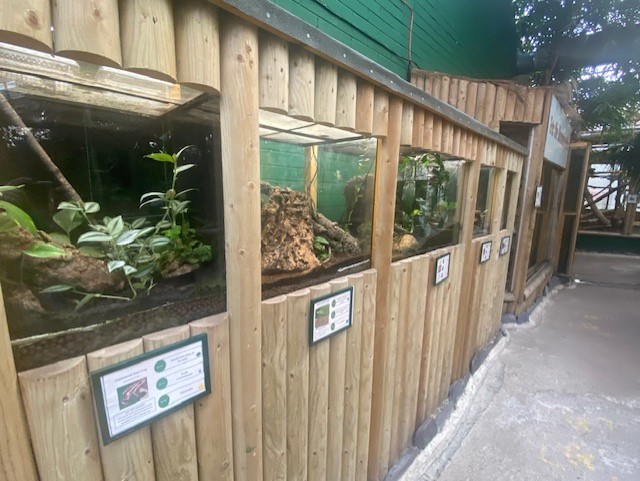 Amazonia - various tanks 200922