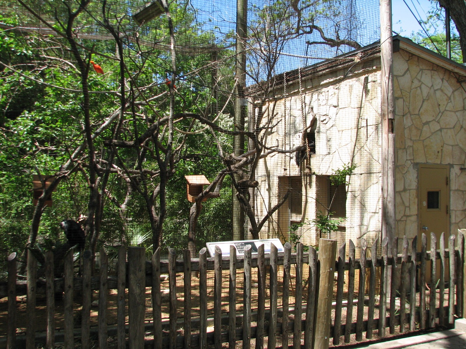 Amazonia - White-faced Saki Exhibit