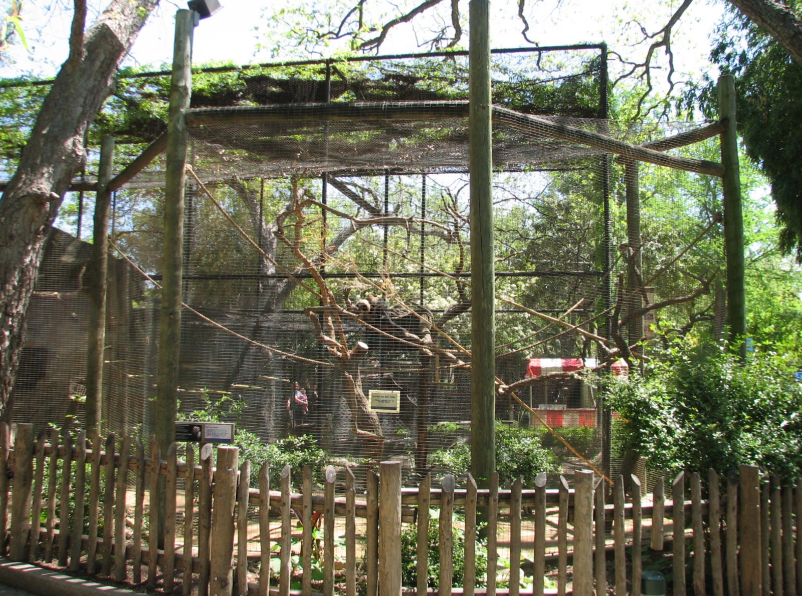 Amazonia - White-throated Capuchin Exhibit