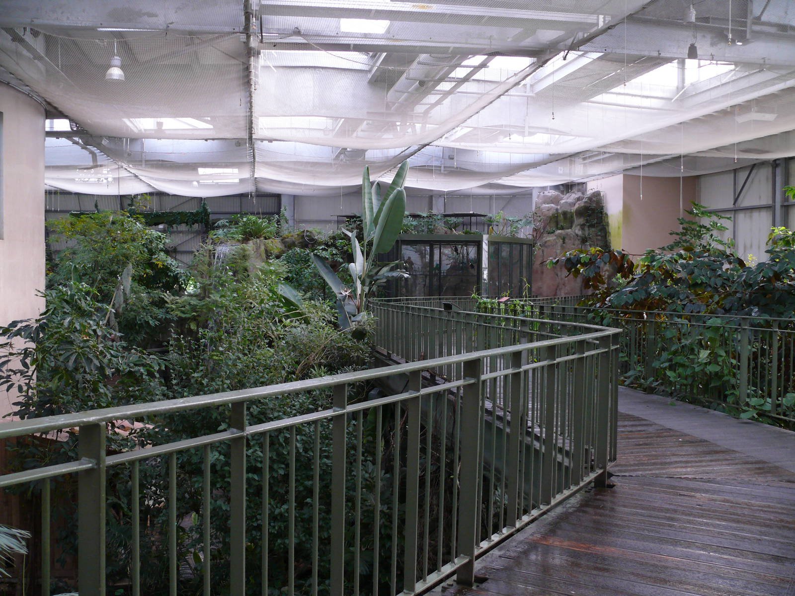 Amazonian House - Bridge