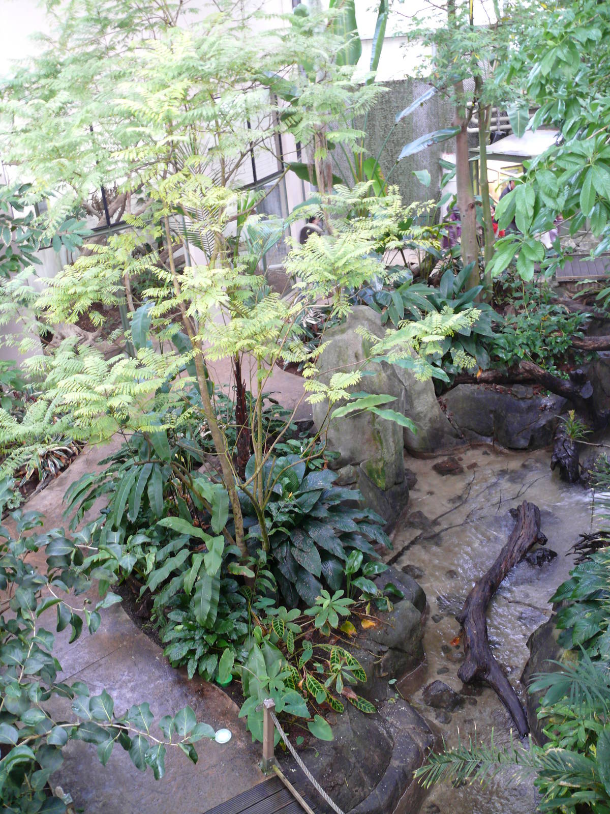 Amazonian House - General view from the bridge