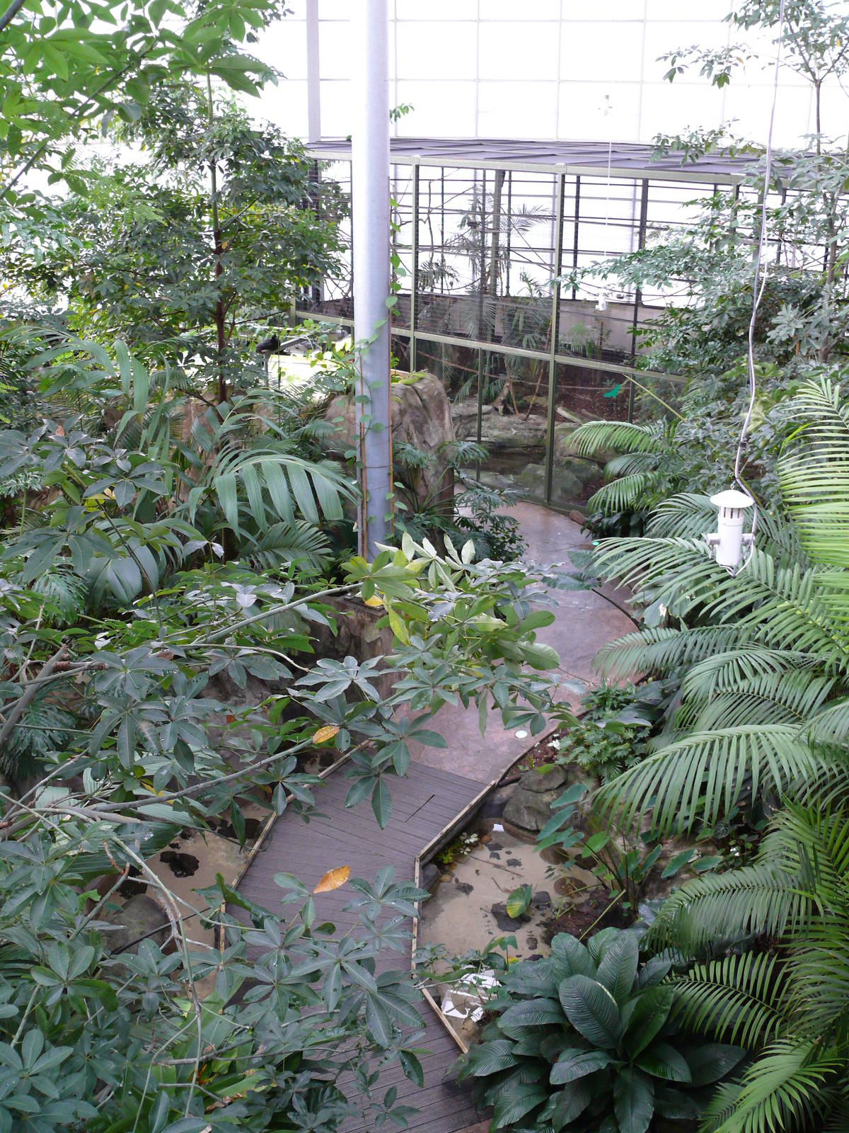 Amazonian House - General view from the bridge