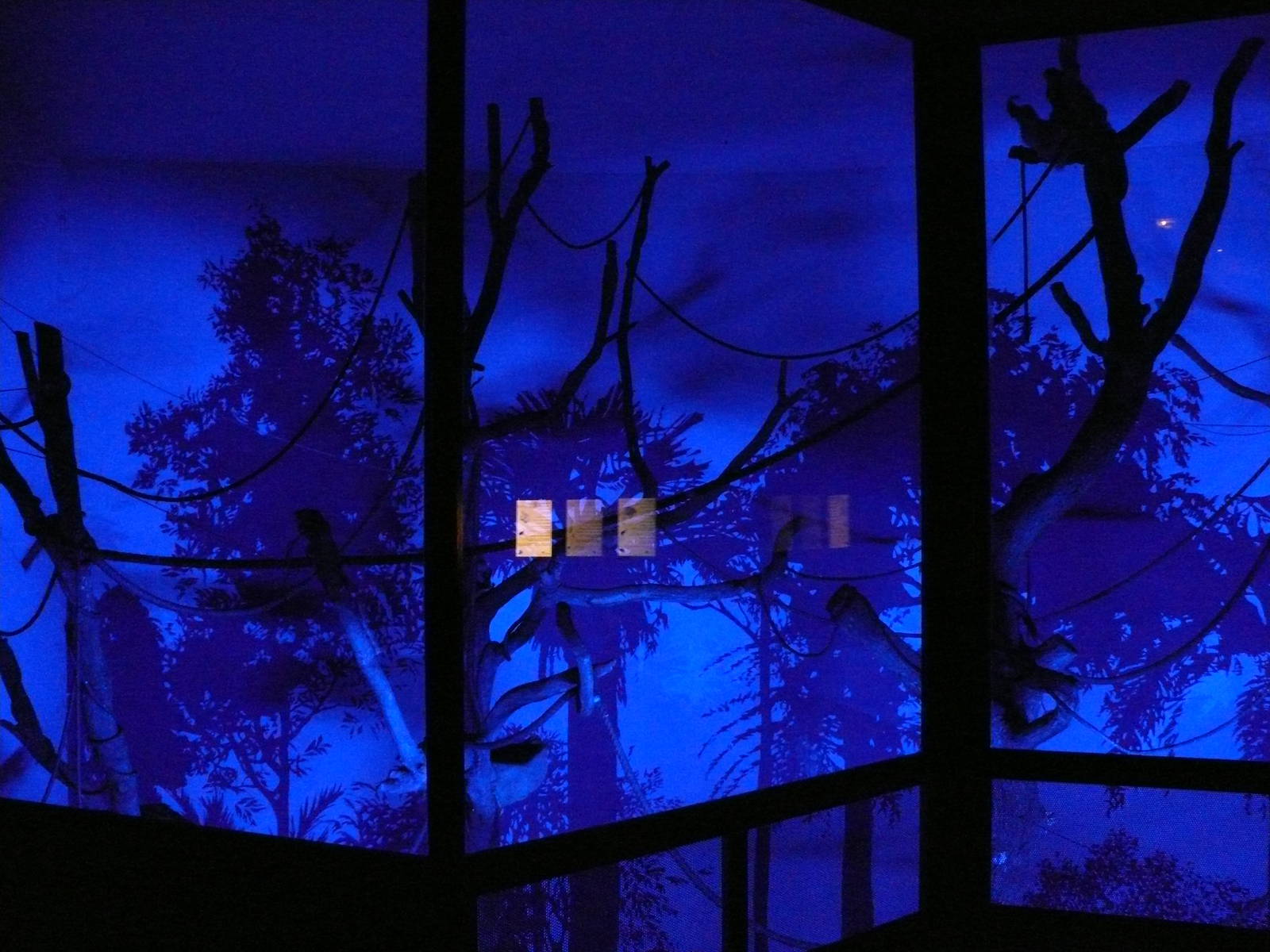 Amazonian House - Nocturnal exhibit