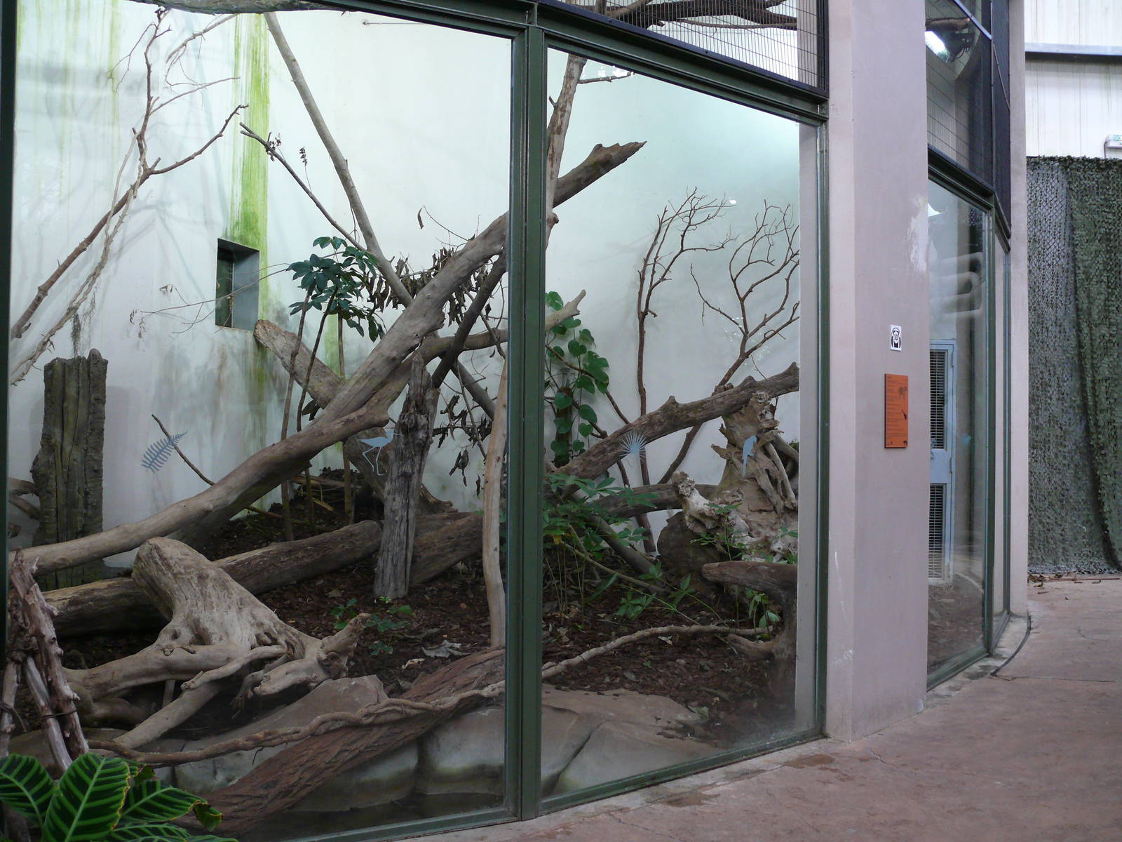 Amazonian House - Ocelots exhibit