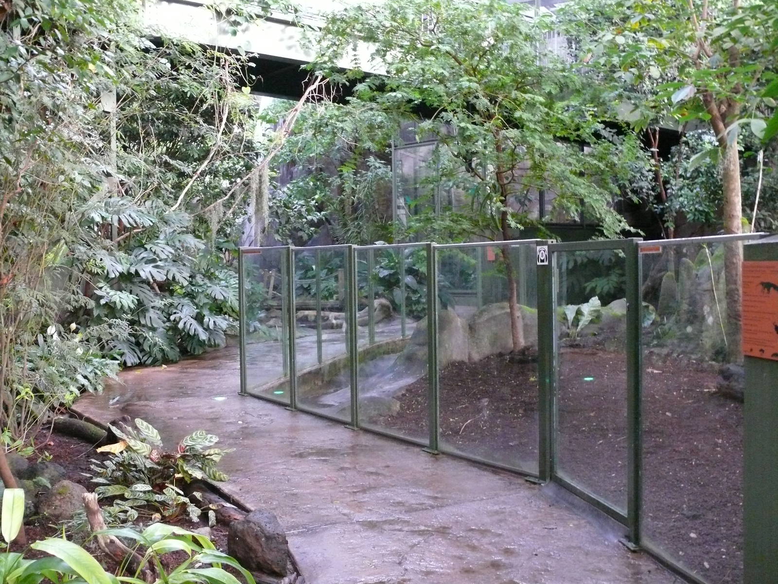 Amazonian House - Path and Giant anteaters exhibit