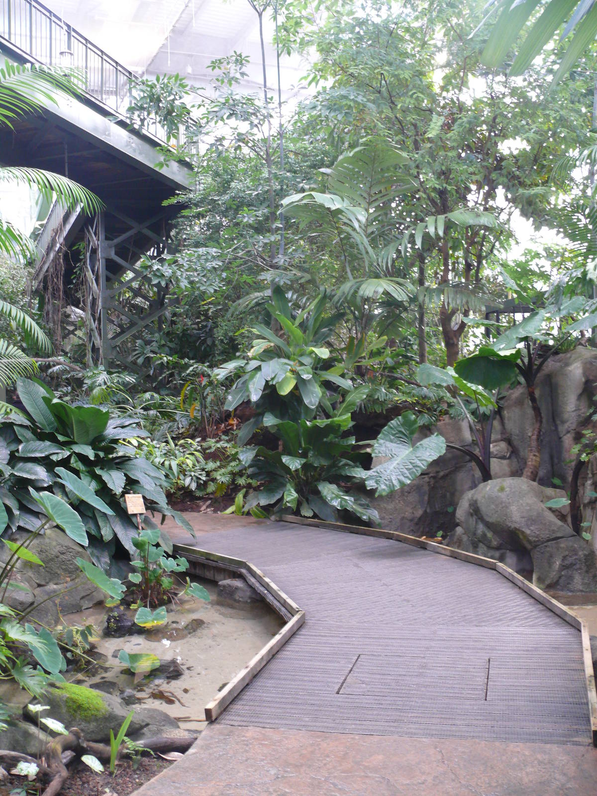 Amazonian House - Path