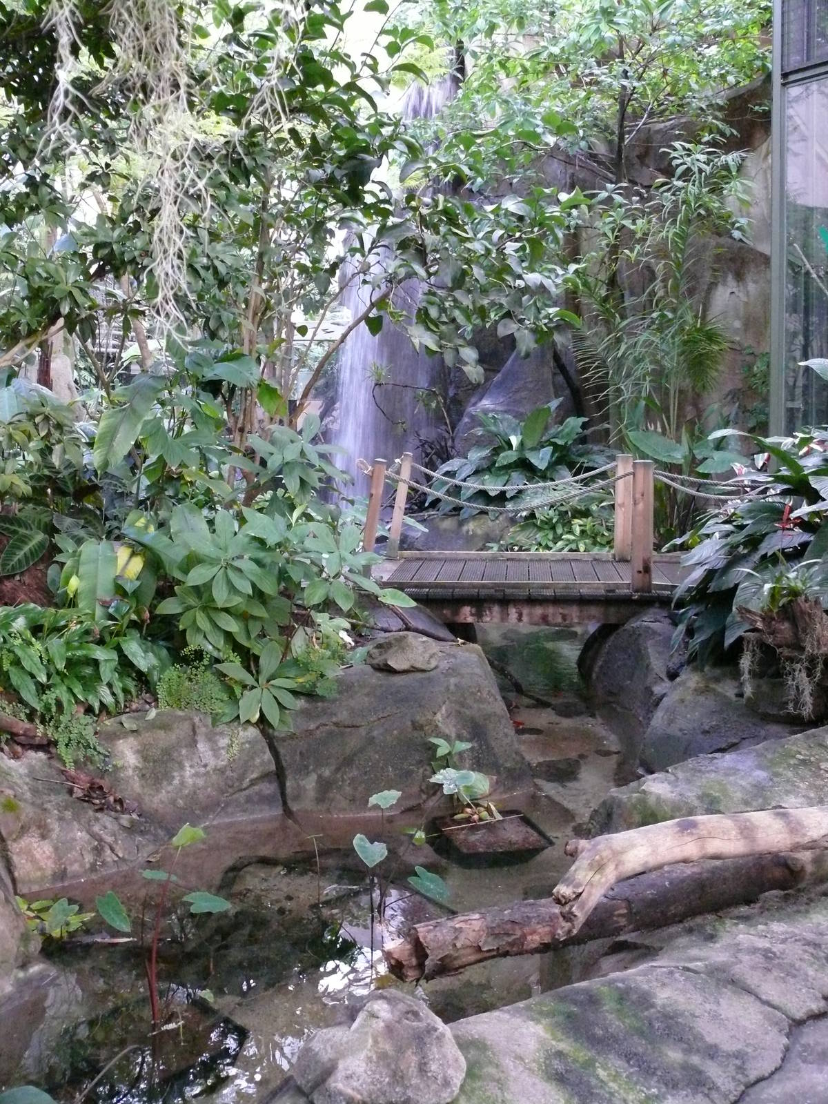 Amazonian House - Waterfall and path