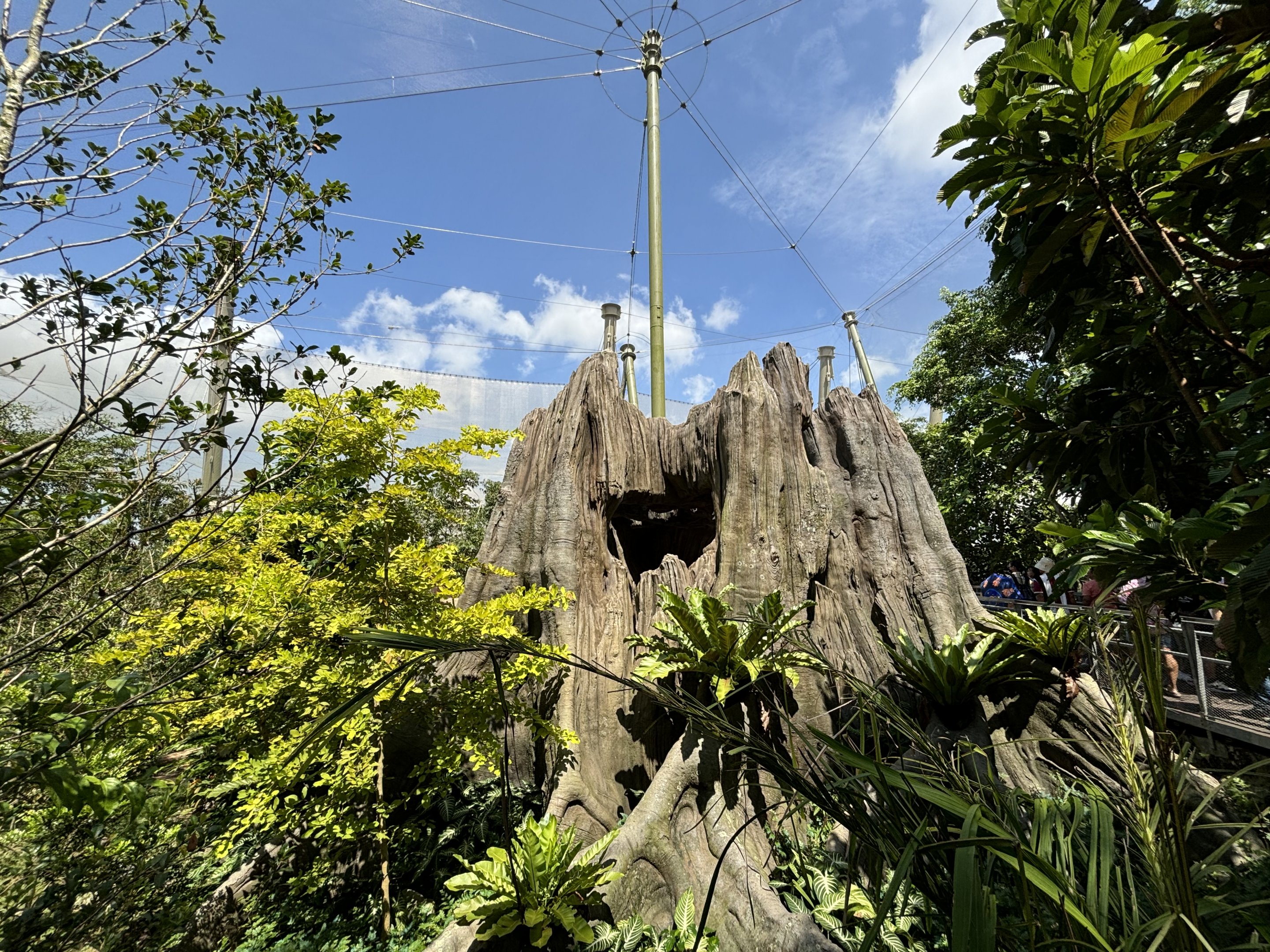 Amazonian Jewels Aviary