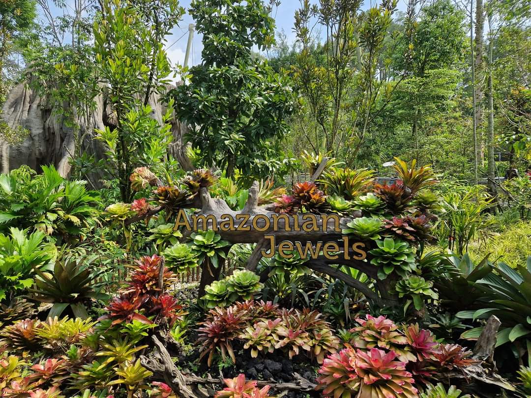 Amazonian Jewels sign