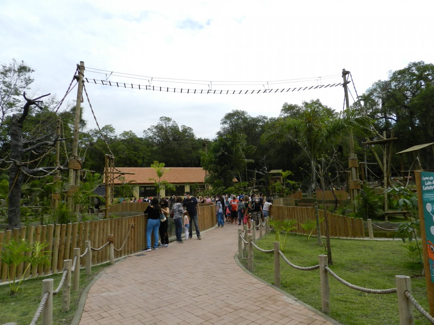 Amazonian primates islands - BioParque do Rio