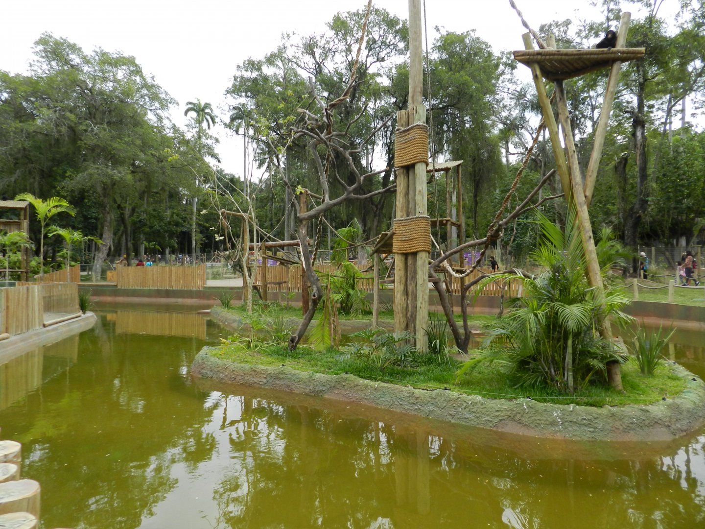 Amazonian primates islands - BioParque do Rio