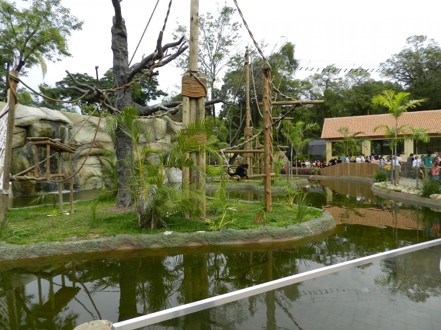 Amazonian primates islands - BioParque do Rio