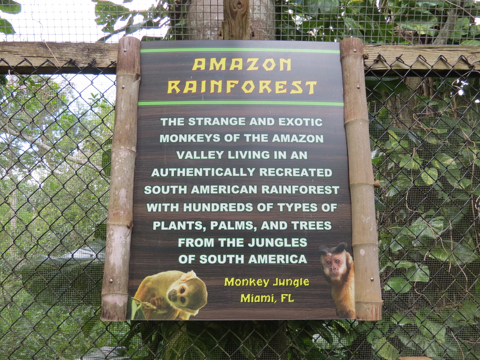 Amazonian Rainforest (Black-capped Capuchin and Squirrel Monkey Exhibit) - Sign