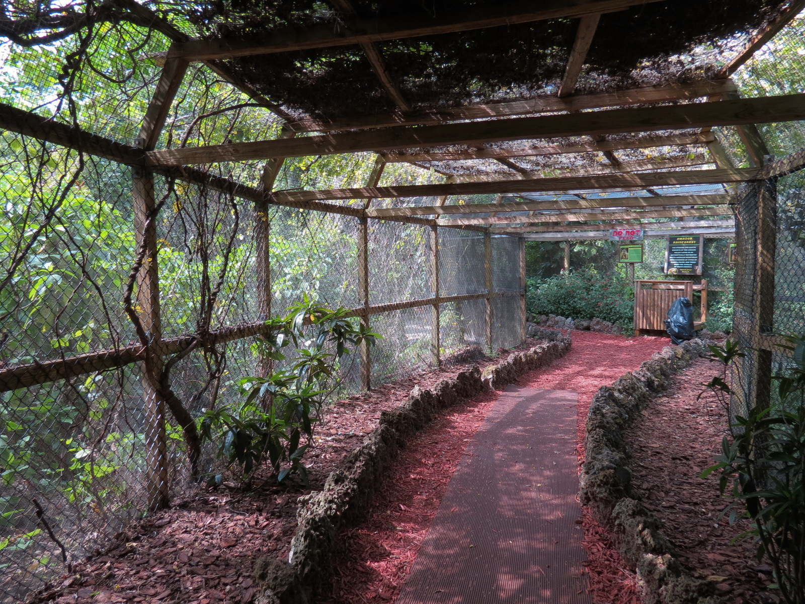 Amazonian Rainforest (Black-capped Capuchin and Squirrel Monkey Exhibit) - Visitor Tunnel