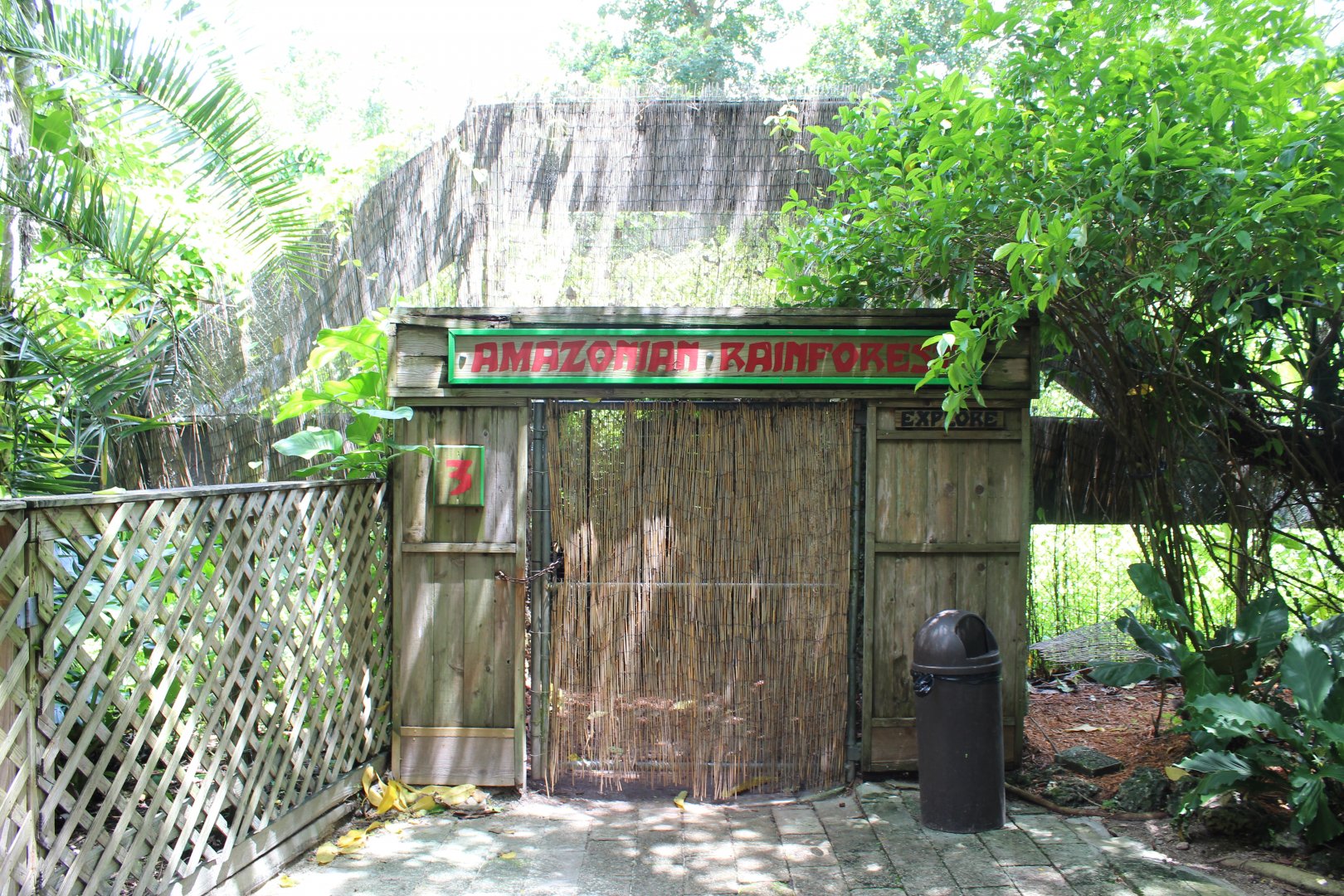Amazonian Rainforest Entrance