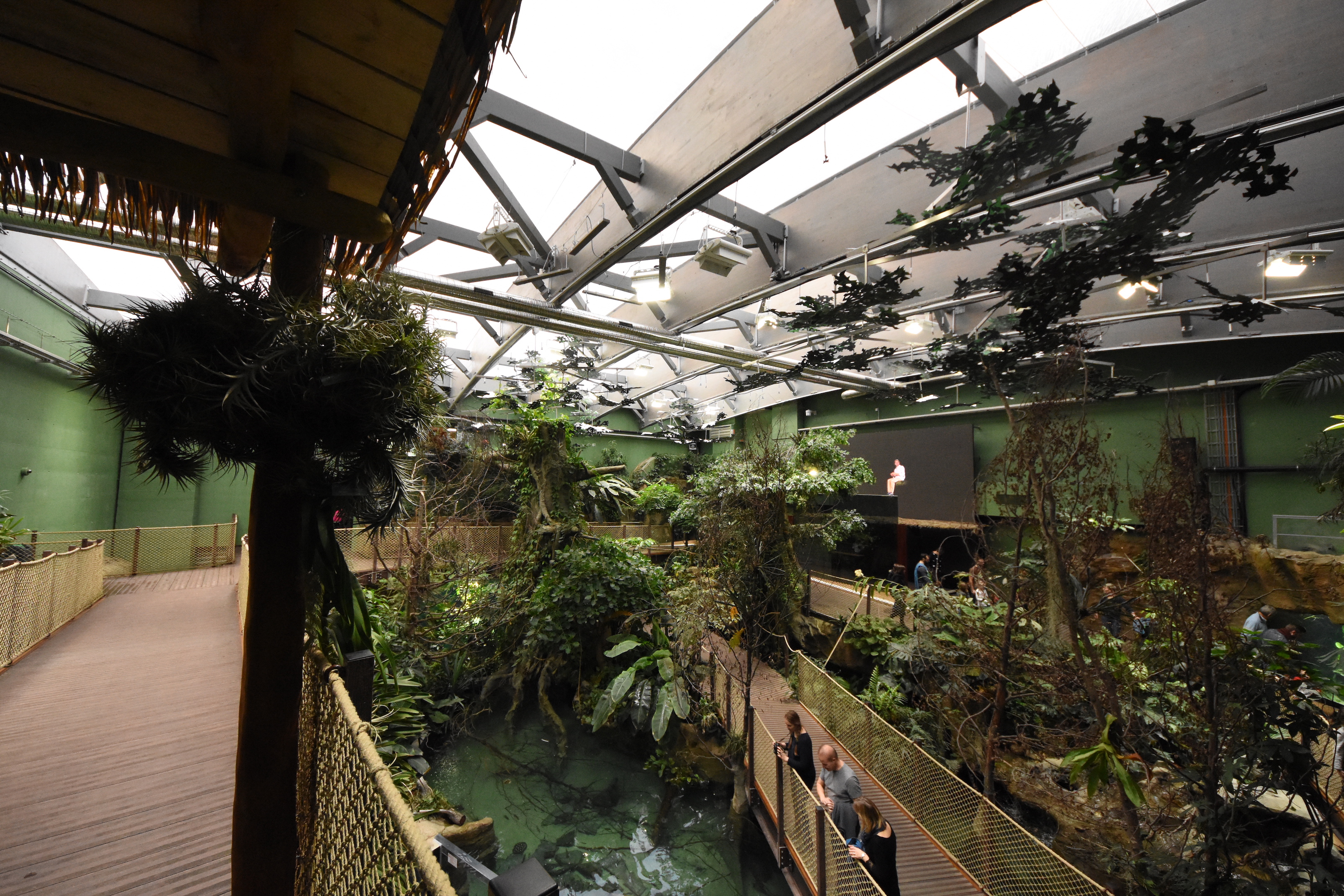 Amazonian rainforest