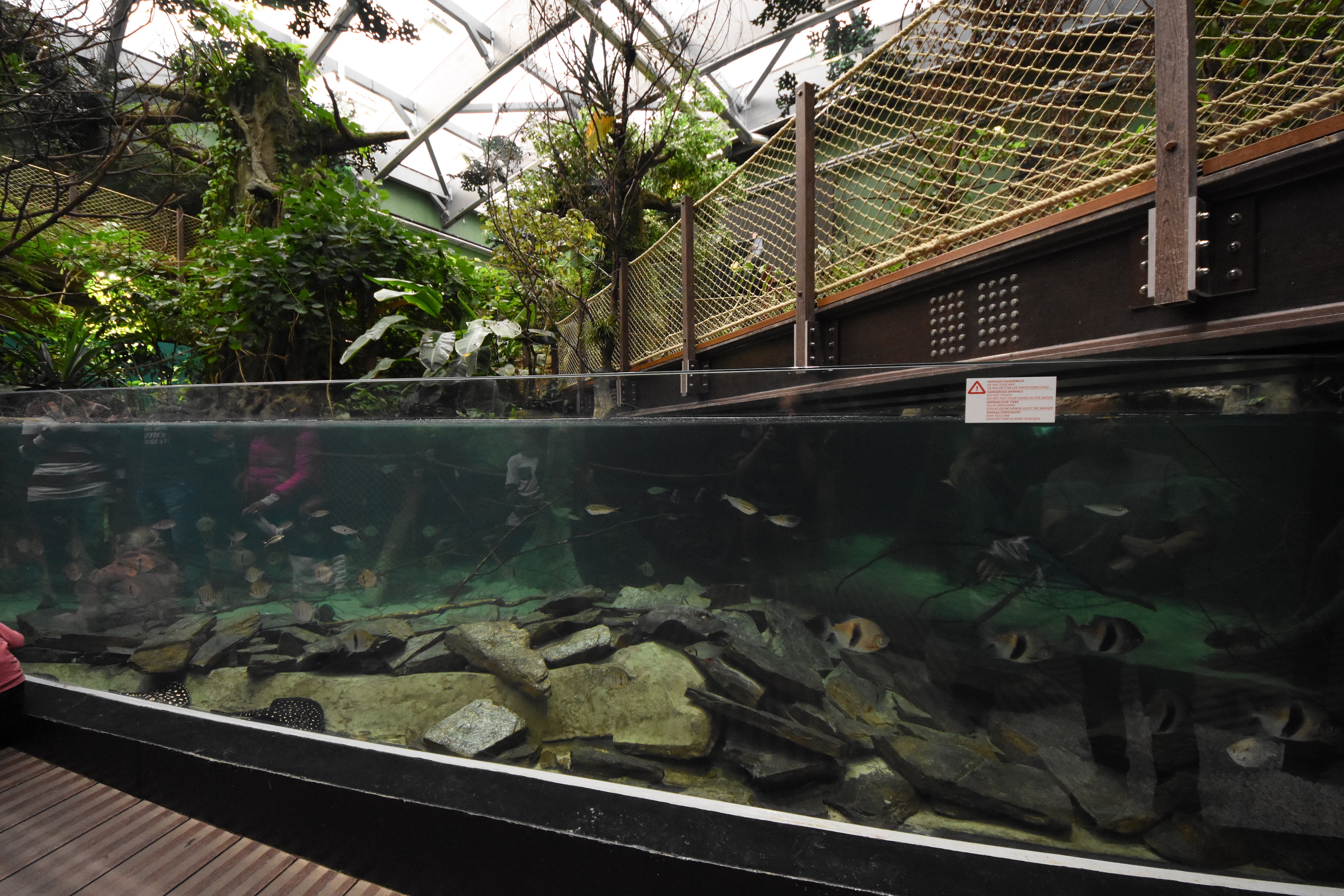Amazonian river tank