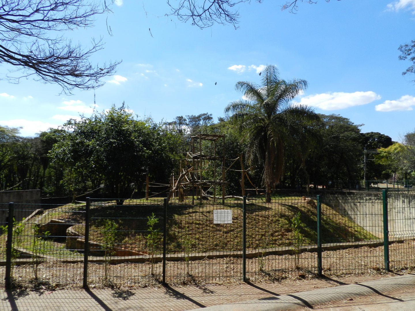 Amazonian wooly monkey exhibit - Belo Horizonte zoo