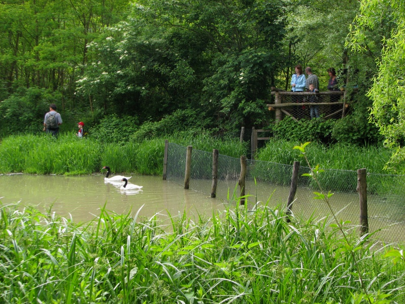 Amazonie @ Zoo Zlin-Lesna