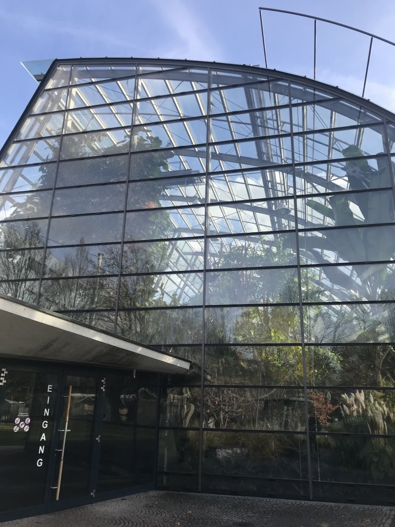 Amazonienhaus 011218