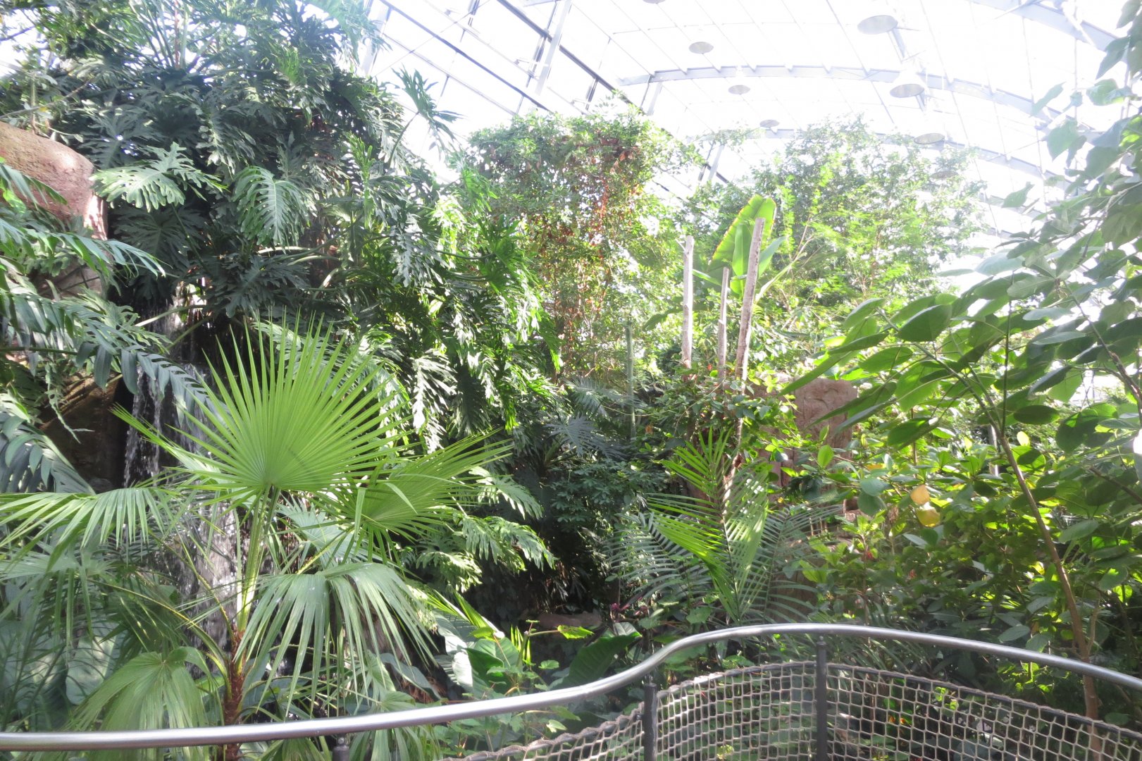 Amazonienhaus 011218