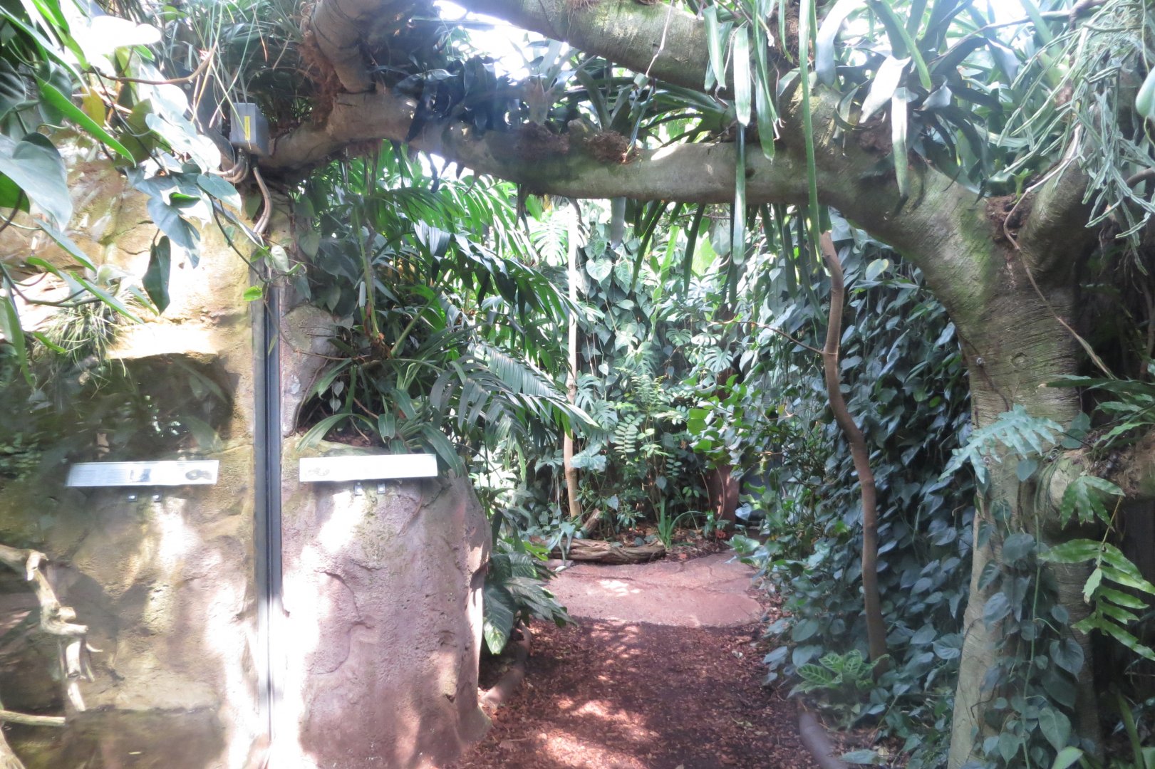 Amazonienhaus 011218