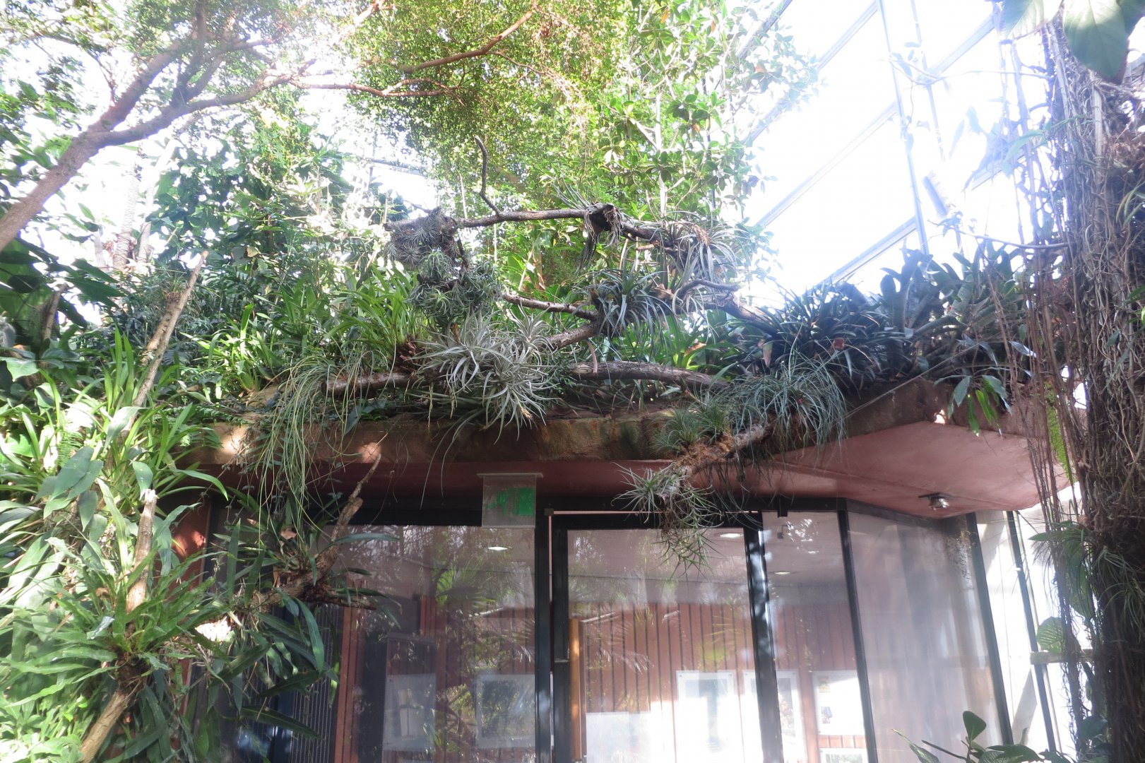 Amazonienhaus - exit from inside 011218