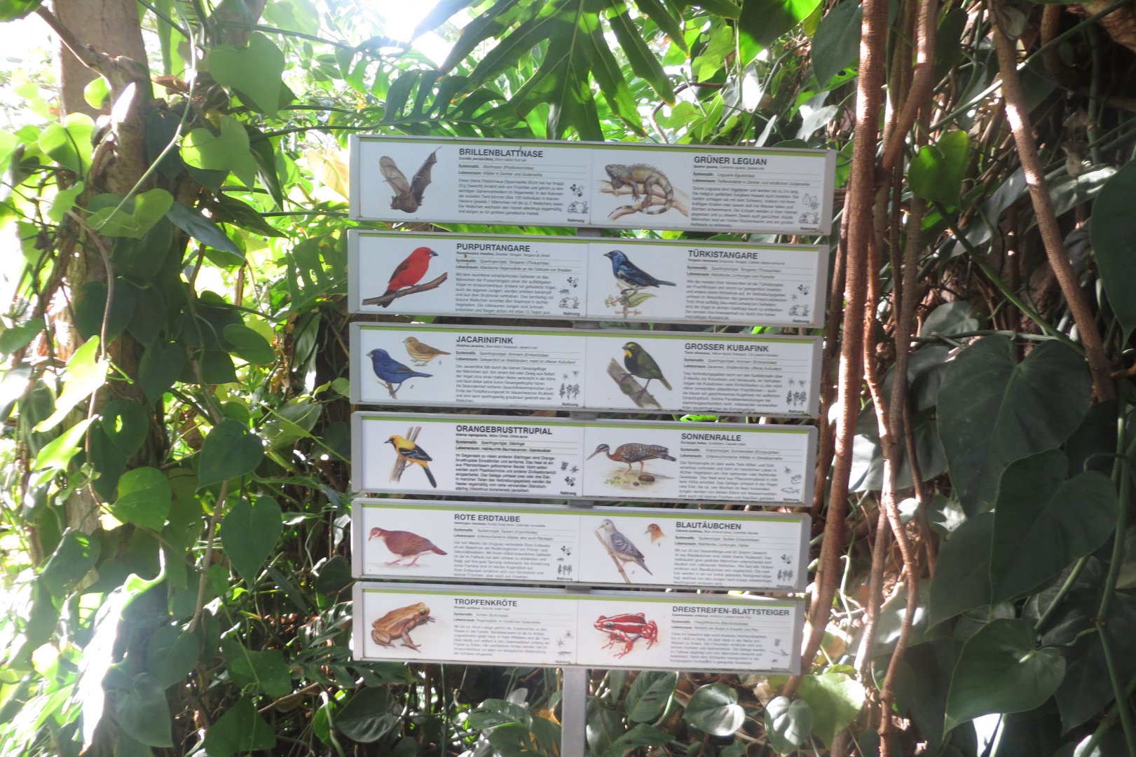 Amazonienhaus - free roaming inhabitants sign 011218