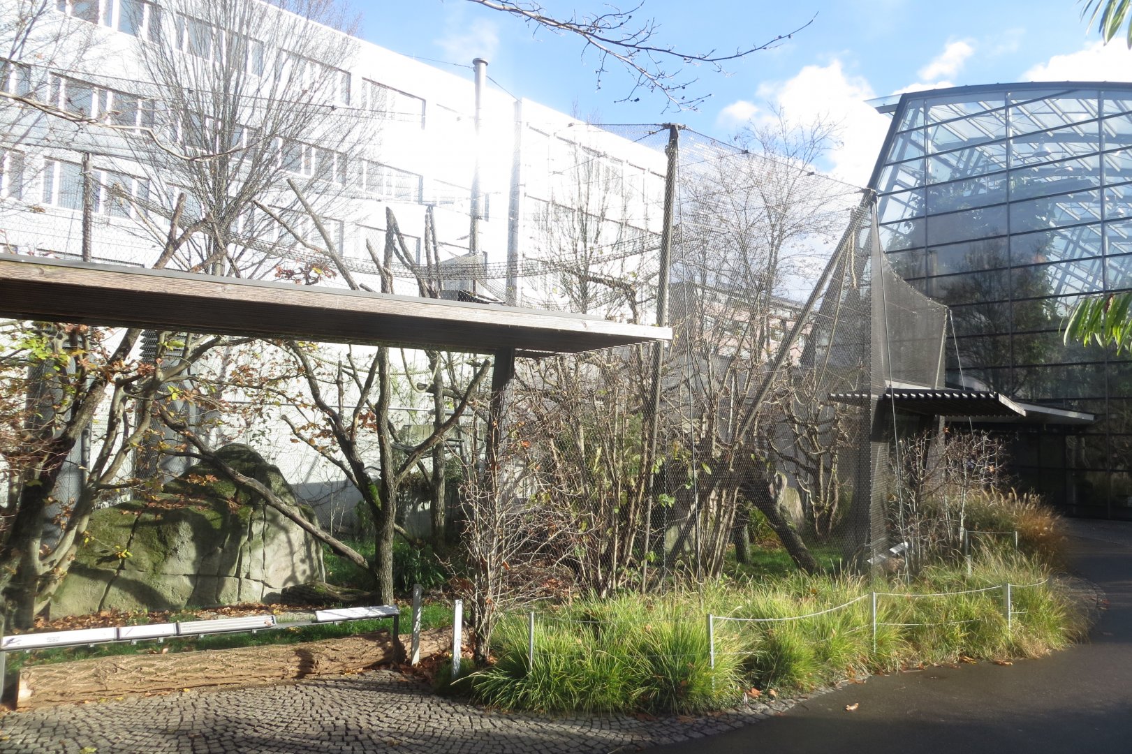 Amazonienhaus - outdoor exhibit for monkeys 011218