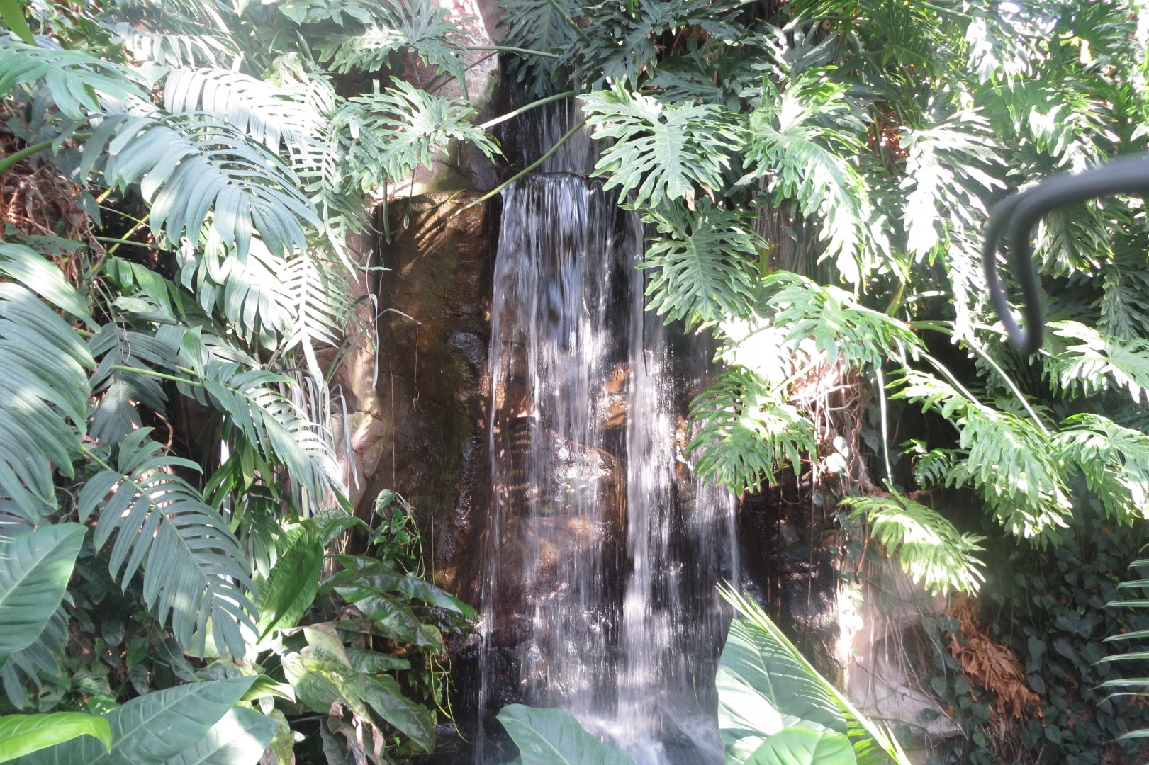 Amazonienhaus - waterfall 011218