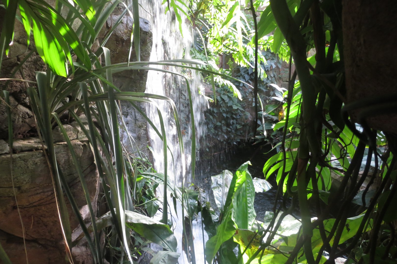 Amazonienhaus - waterfall 011218