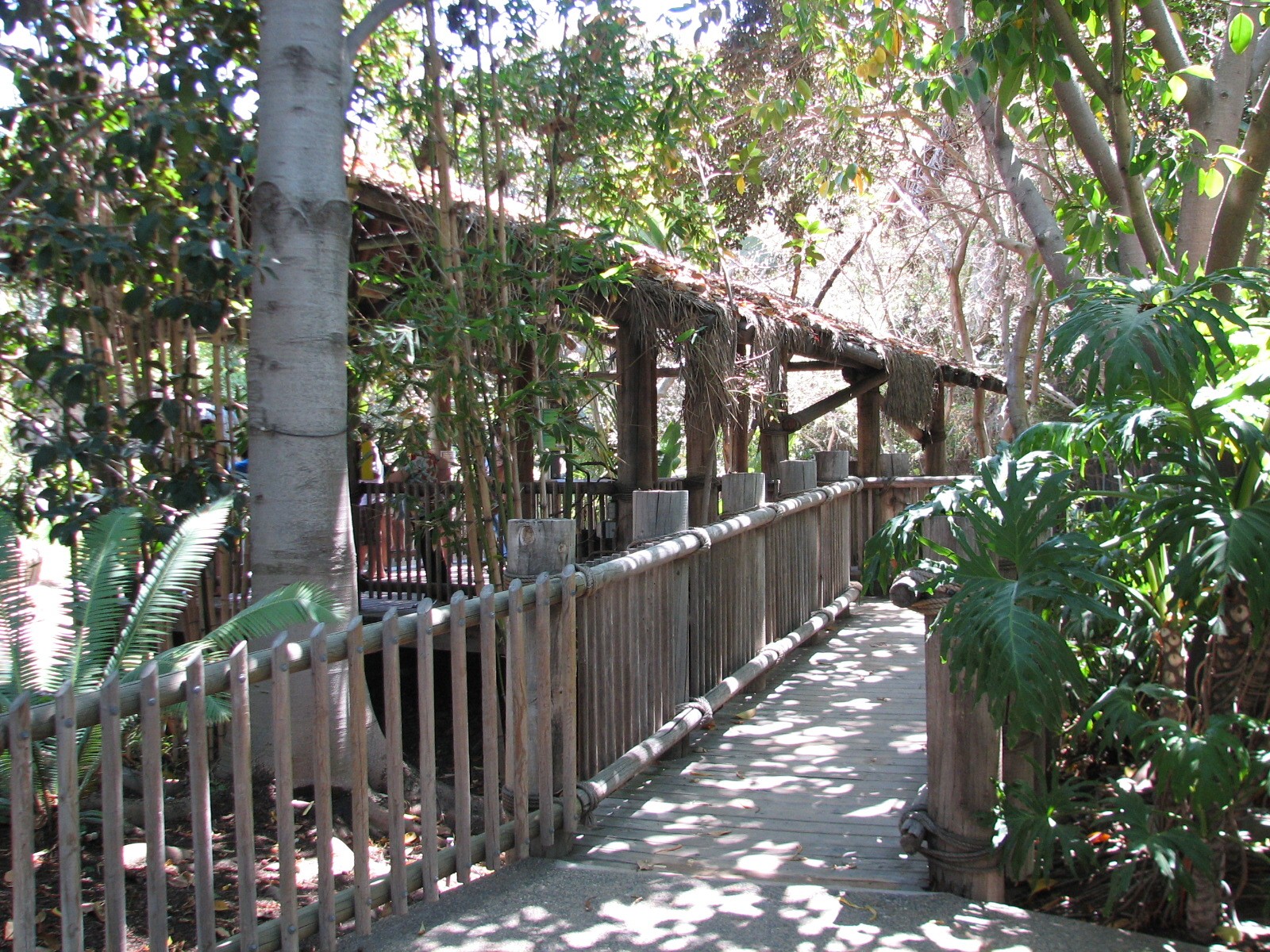 Amazons Edge - Viewing Shelter