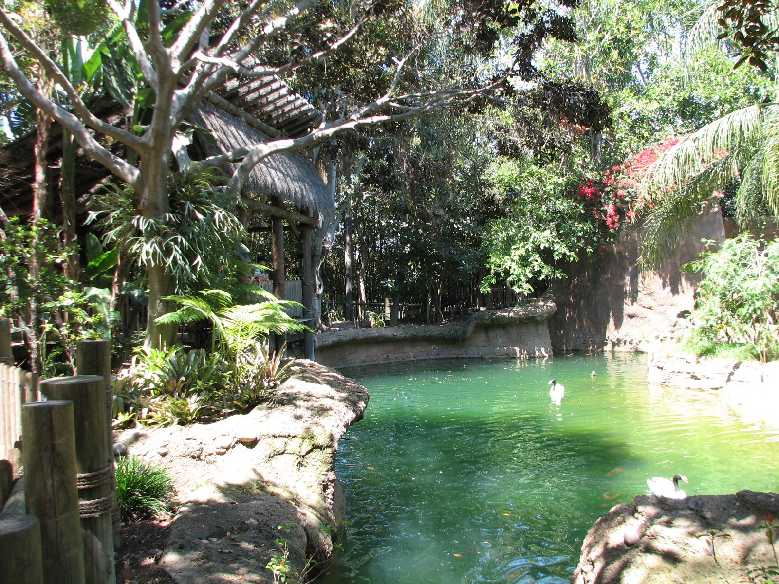 Amazons Edge - Water Moat