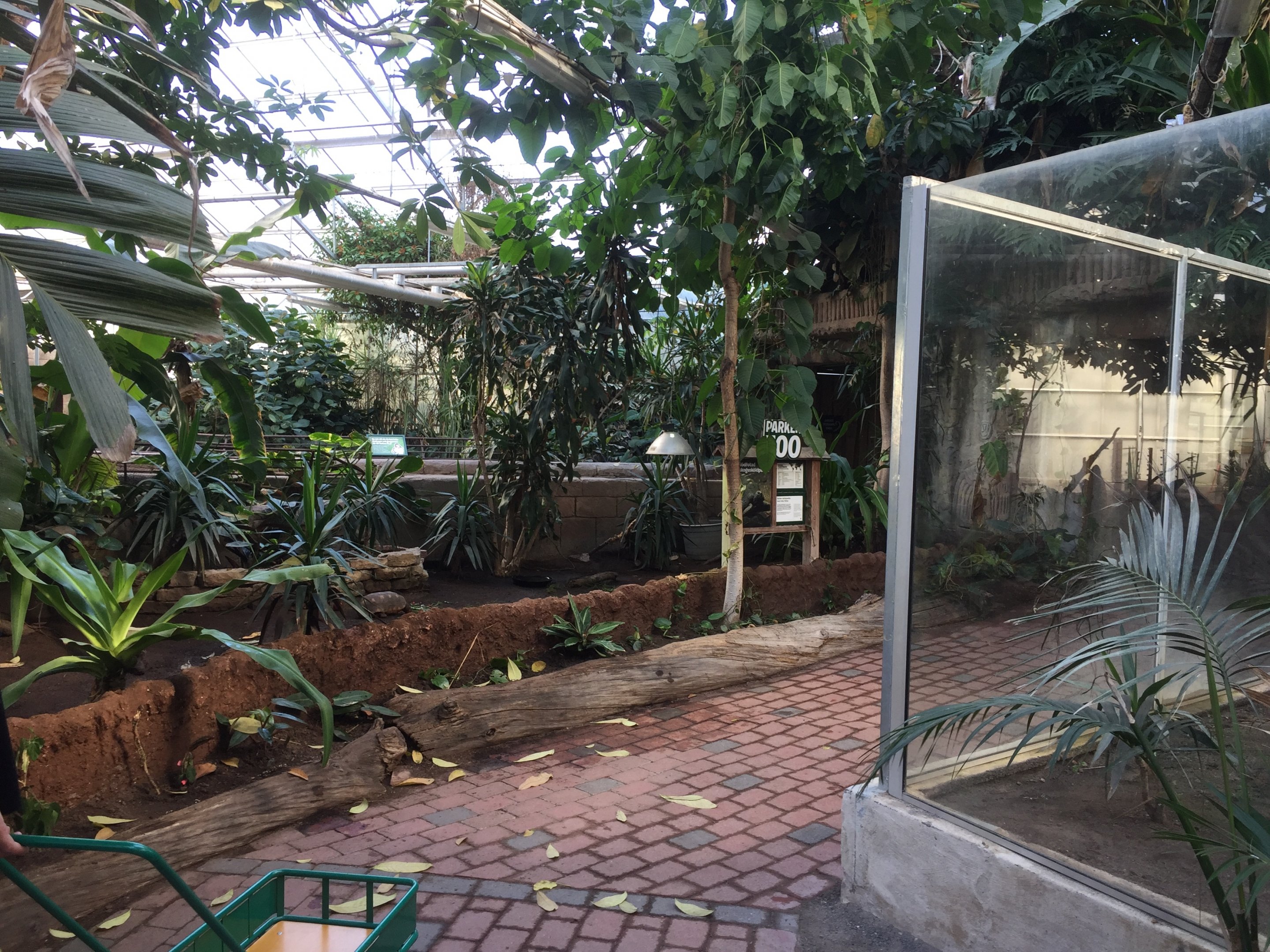 "AmaZOOnas" Tropical House