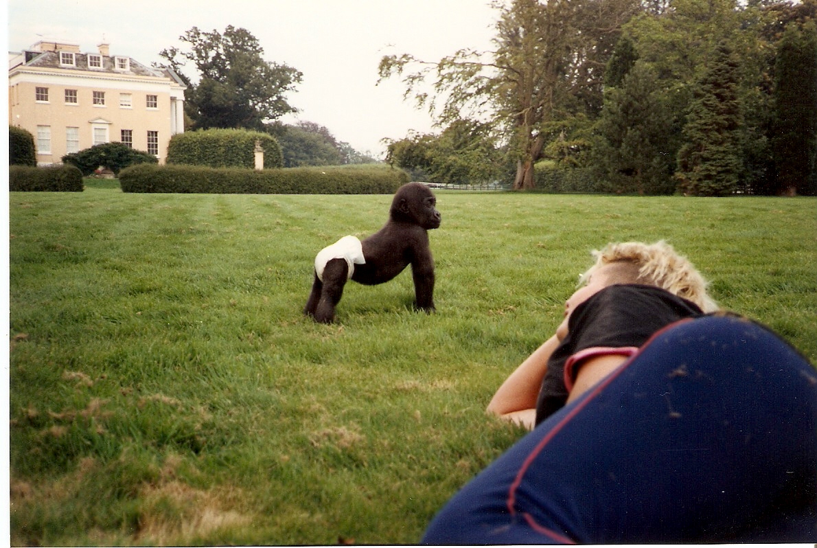 Ambam baby pictures Howletts 1991 onwards