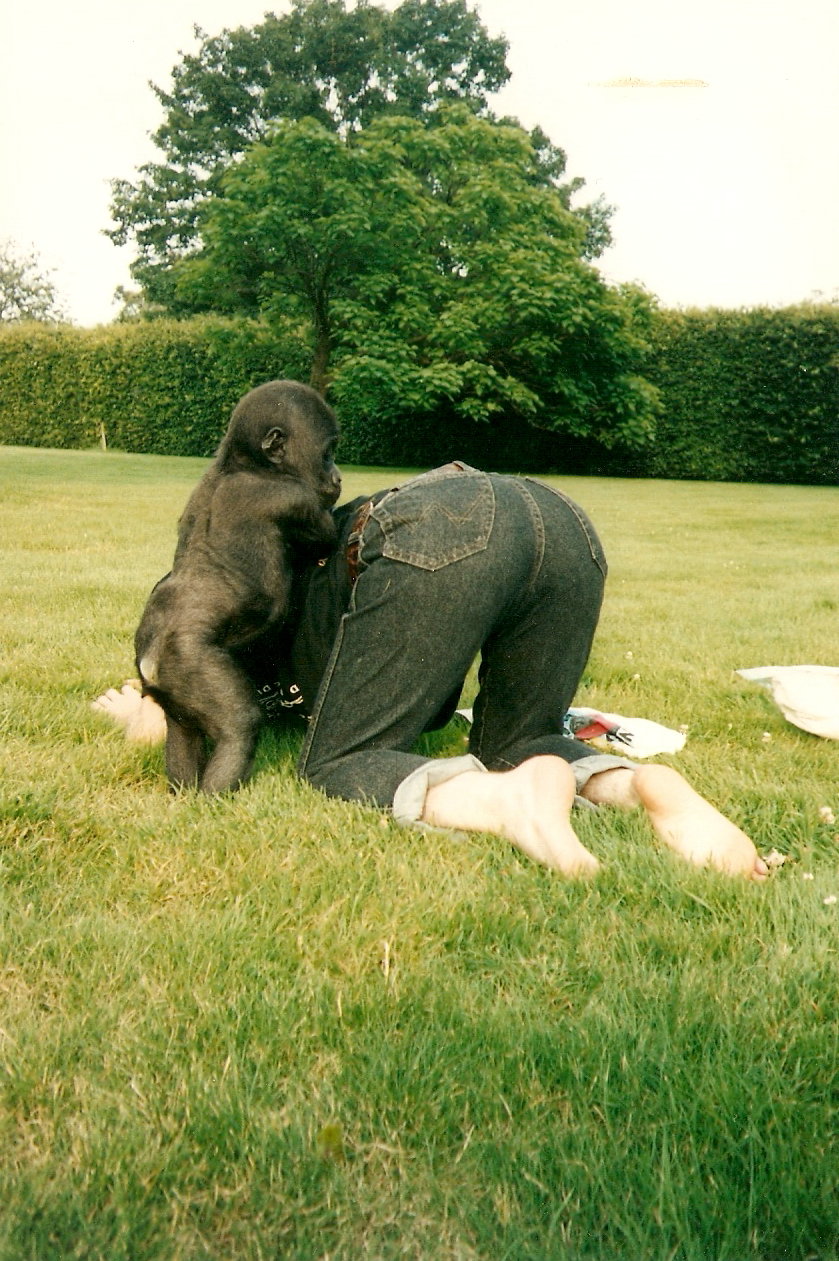 Ambam baby pictures Howletts 1991 onwards