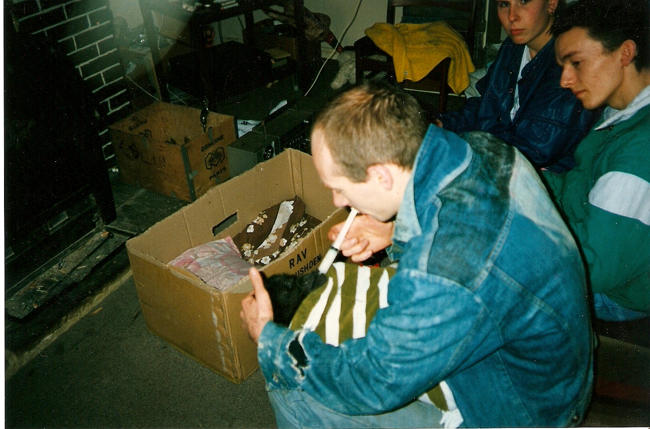 Ambam baby pictures Howletts 1991 onwards