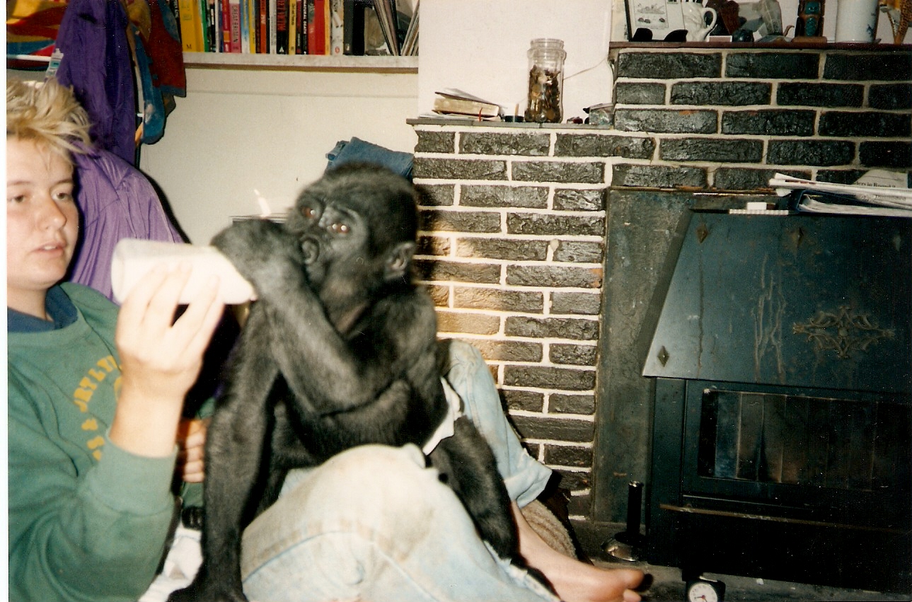 Ambam baby pictures Howletts 1991 onwards