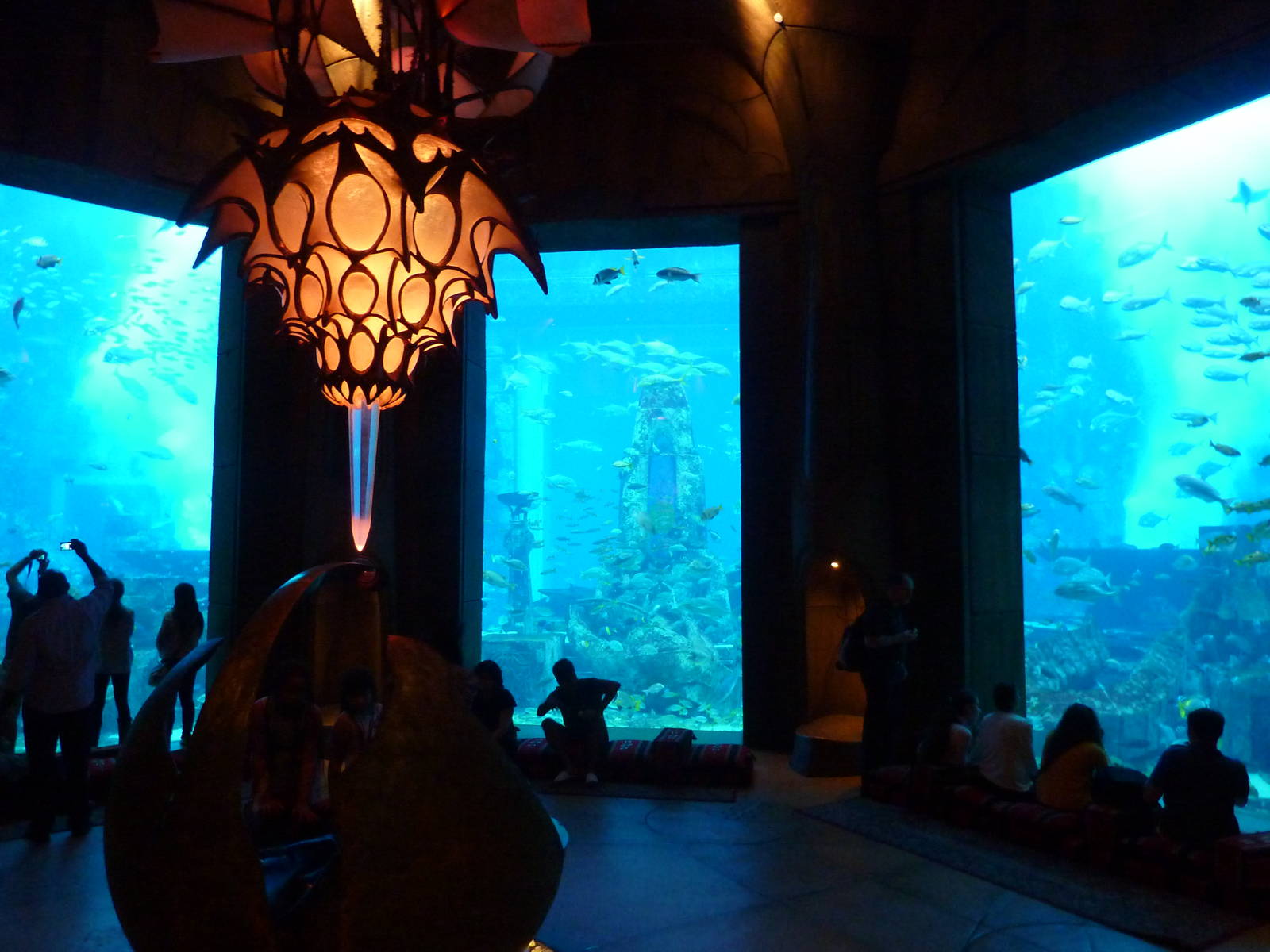 Ambassador lagoon viewing area