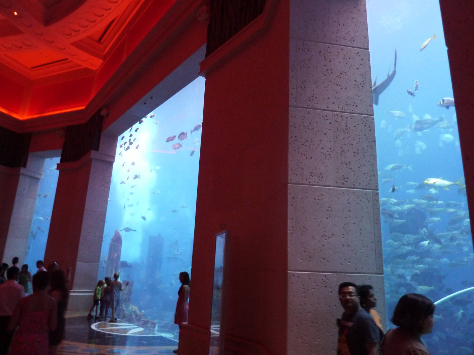 Ambassador lagoon viewing windows