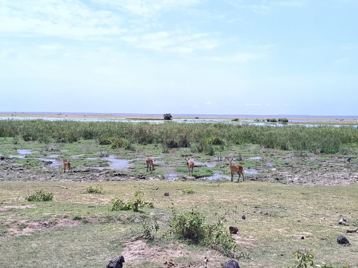 Amboseli National Park