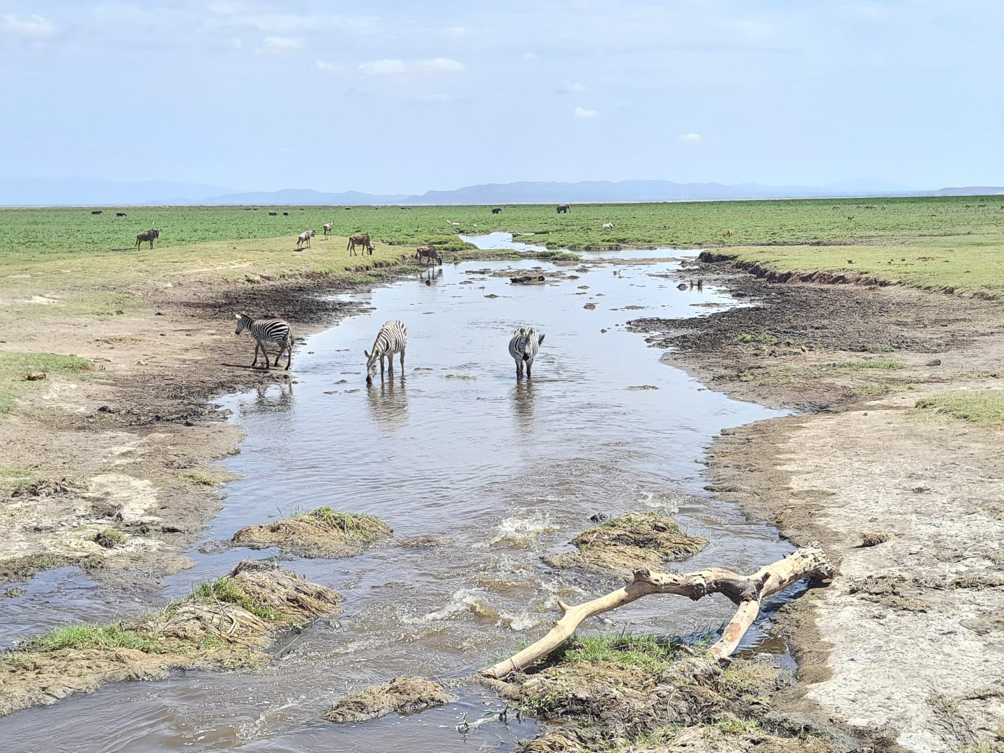 Amboseli National Park